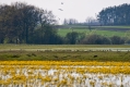 039_Biebrza - kwiecien 2010